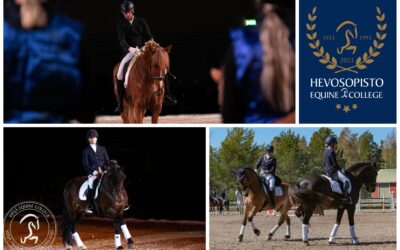 Hevosopiston upea juhlavuoden näytös Helsinki Horse Show’ssa