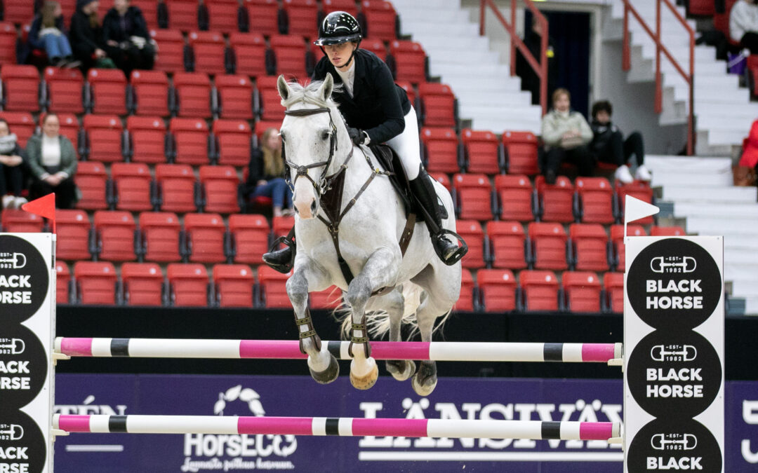 Black Horse Young Horse -luokat esittelivät tulevaisuuden tähtiä