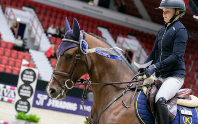 “This year we have gratifyingly many competitors”