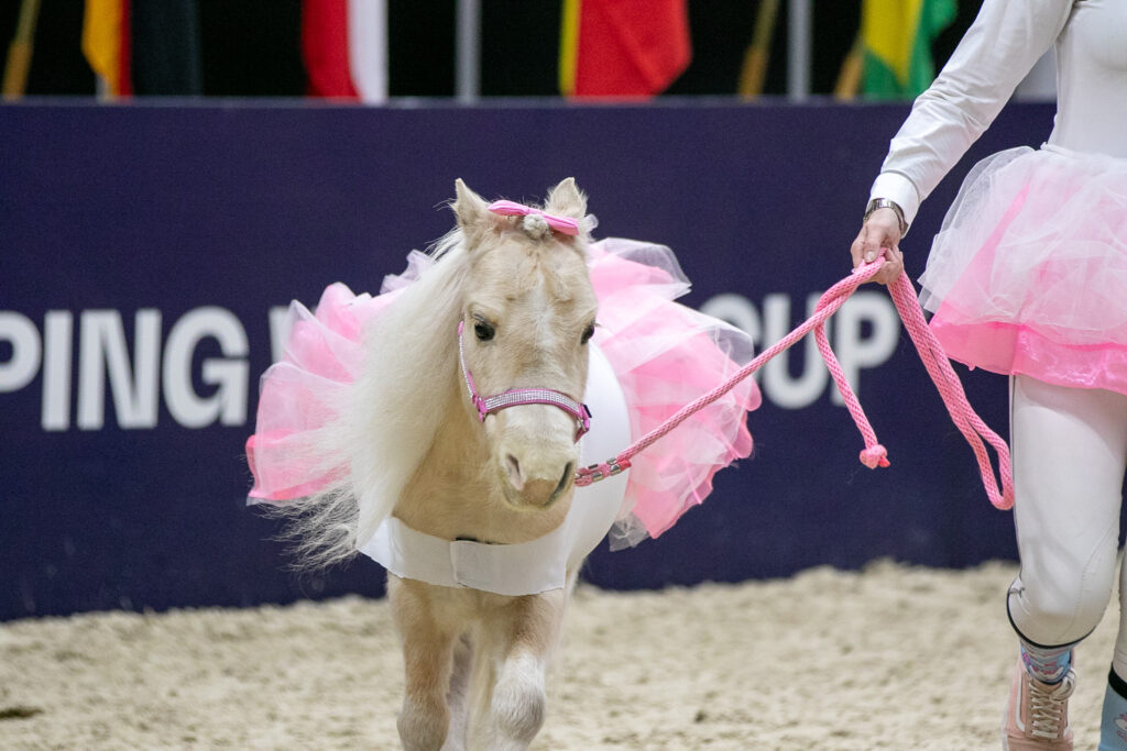 Kuva: Iita-Maria Ahtiainen 