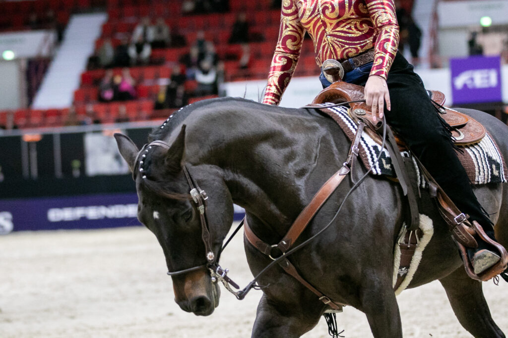 Reining Show. Kuva: Iita-Maria Ahtiainen