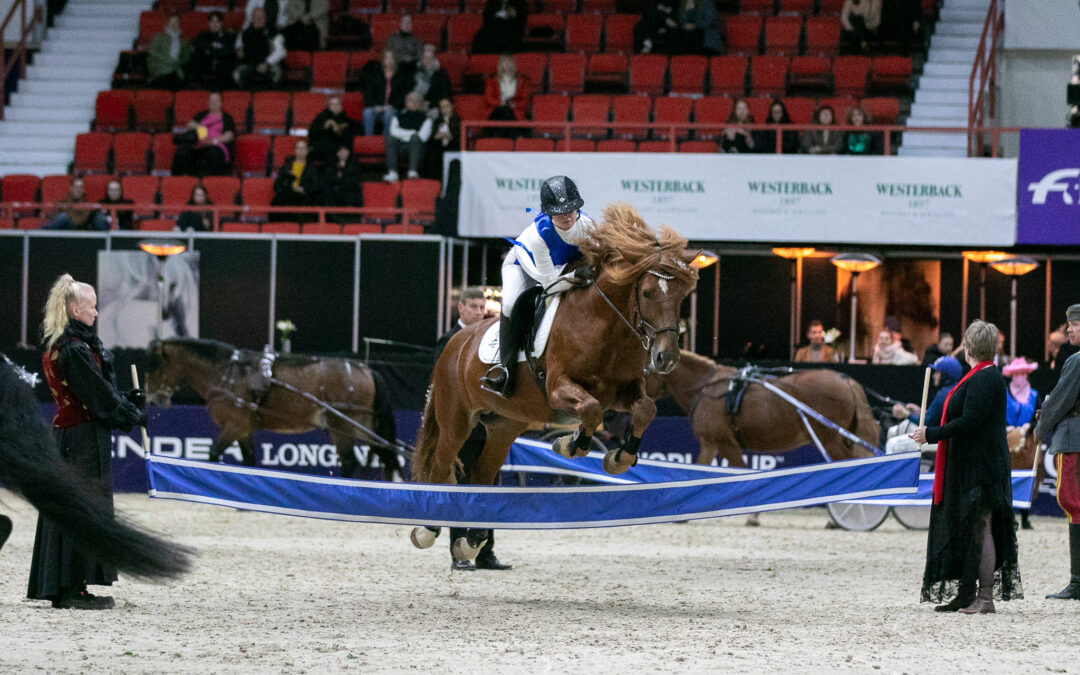 Lauantain iltanäytöksen tähdet