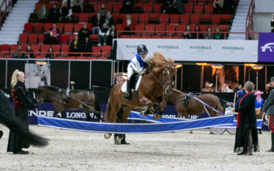 Lauantain iltanäytöksen tähdet