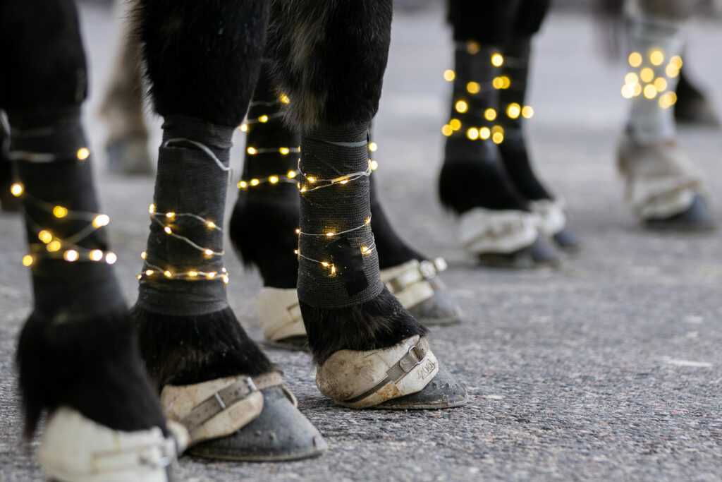 Kuva: Iita-Maria Ahtiainen