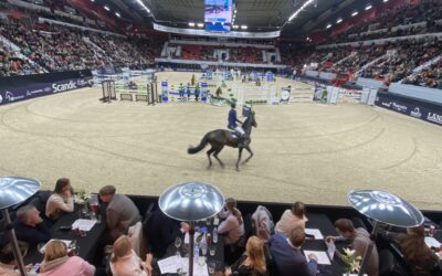 Helsinki Horse Show’n lipunmyynti käynnistyy 1.2. klo 12
