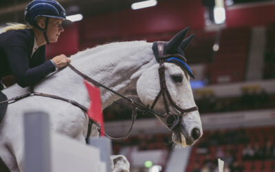 Karsintajärjestelmä ja Amateur Tourin säännöt julkistettu – Tiet auki tähtien areenalle