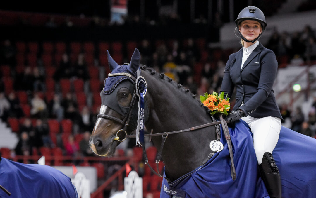 Amateur Tour: Vielä ehtii 1.6. asti alimmalla sarjamaksulla