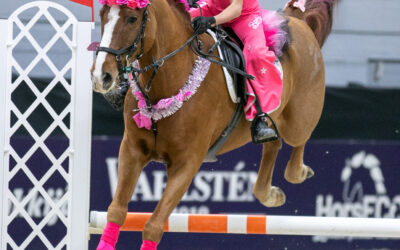Hae mukaan poniratsastusluokkaan Horse Show’hun
