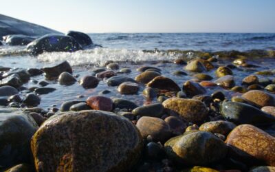 Itämeripäivää juhlitaan tänään – tervetuloa mukaan!