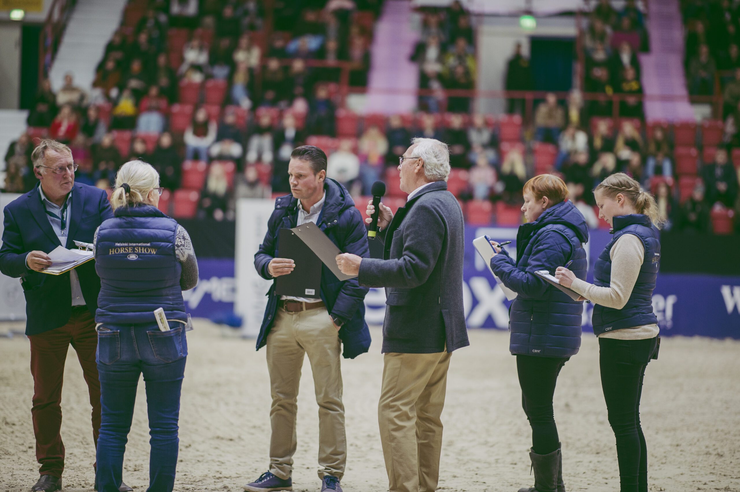 young horse_photosatu pirinen314