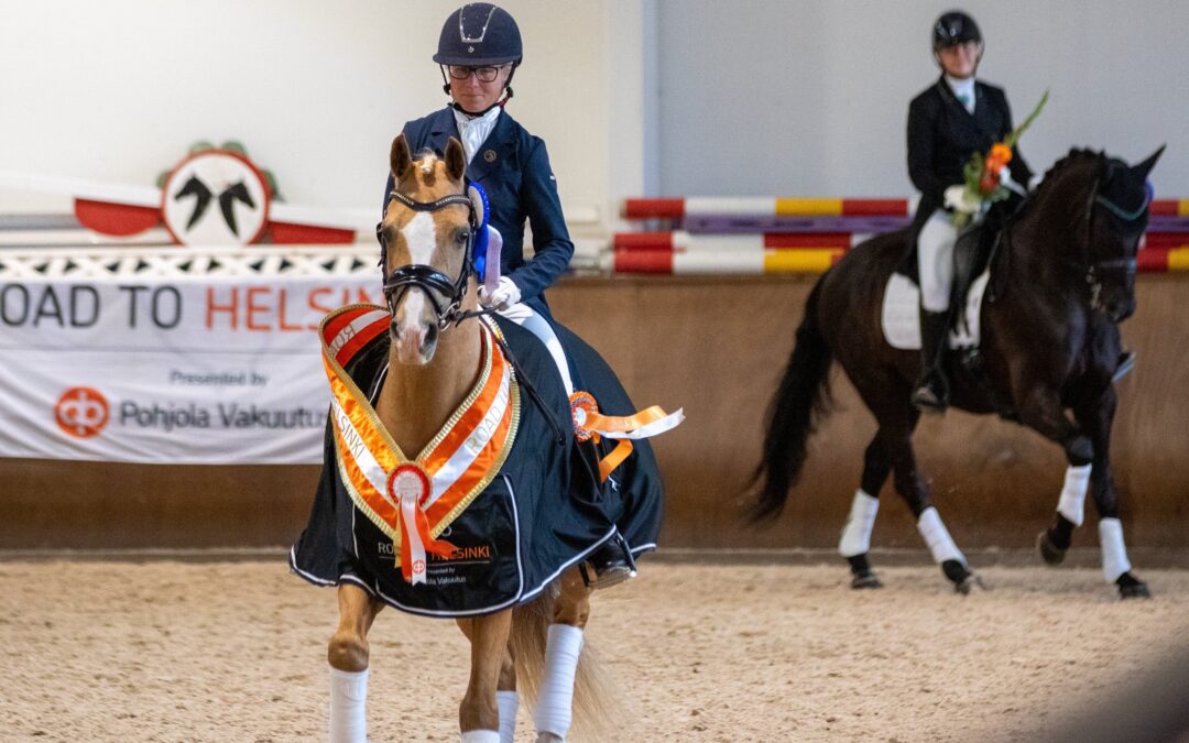 Kuusi kouluratsukkoa kilpailee Pohjola Superfinaalissa – niistä puolet suomenhevosia