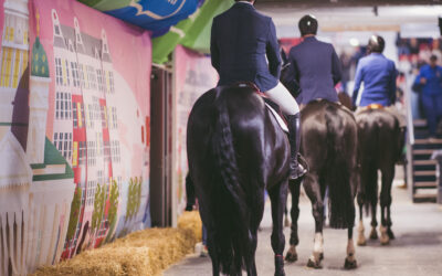 Tapahtumainfosivut päivitetty – tee Horse Show -elämyksestäsi täydellinen