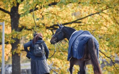 Ainutlaatuinen etu lipun ostaville yhteistyössä Hevosurheilun kanssa