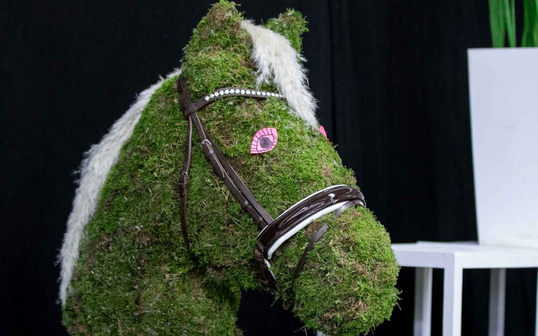 Helsinki Horse Show Jumps Green 2024 – Loikkia kohti kestävämpää tulevaisuutta!