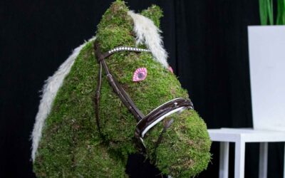 Palvelut Horse Show’ssa