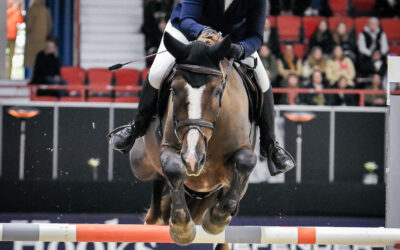 Pohjola-sarjat – Road to Helsinki