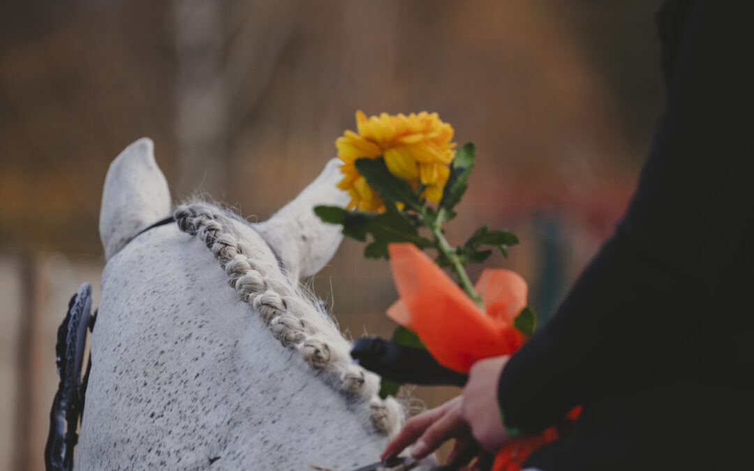 Helsinki Horse Show renews their Ekokompassi -certificate