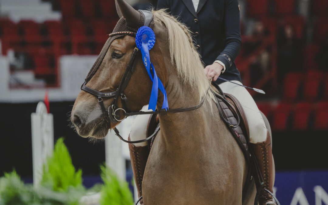 Vilma Leppäkangas ja Paletin Liekki suomenhevosten Pohjola-sarjan voittoon