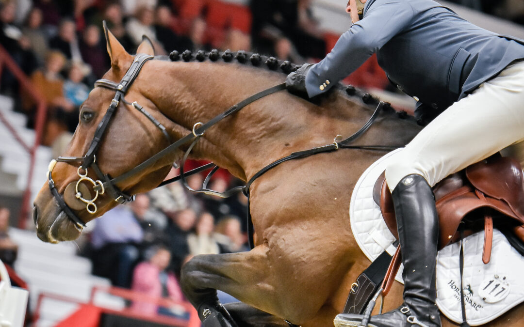 Philipp Schulze Topphoff Carlalla voittoon Pohjola International 150 cm -aikaratsastuksessa