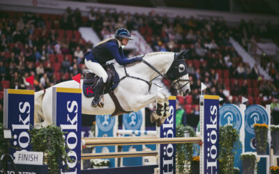 Mikä ihmeen Tasotuoppi?