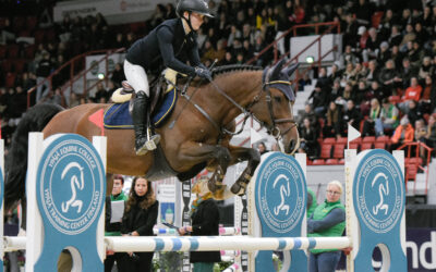 Nuoret hevoset, nousevat tähdet